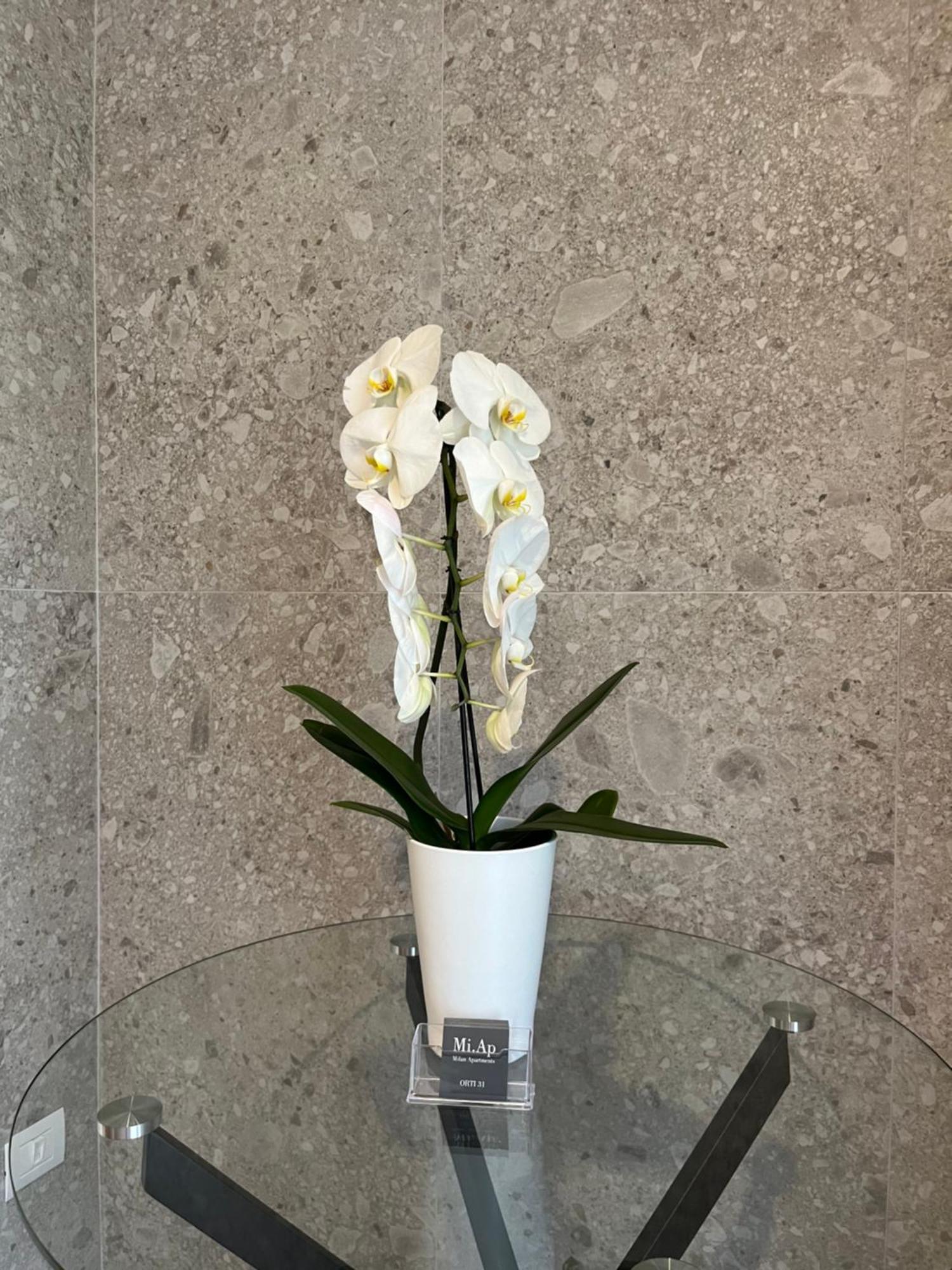 Appartement Miap Orti 31 à Milan Extérieur photo